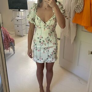 Rose Stripe Printed Mini Dress